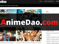 AnimeDao